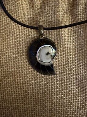 Black and White Nautilus Shell Pendant Necklace - Women Jewelry